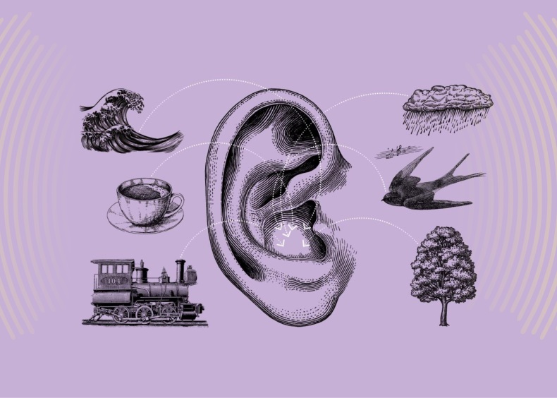 Edukacija „Tylà netỹla“