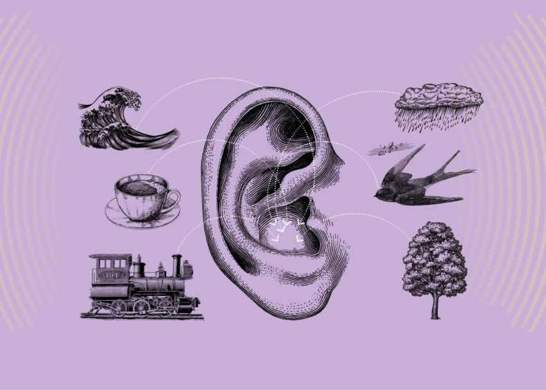 Edukacija „Tylà netỹla“